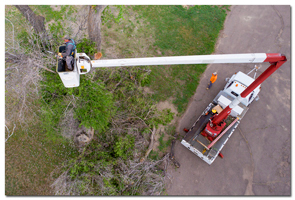 aerial image of a tree trimmer